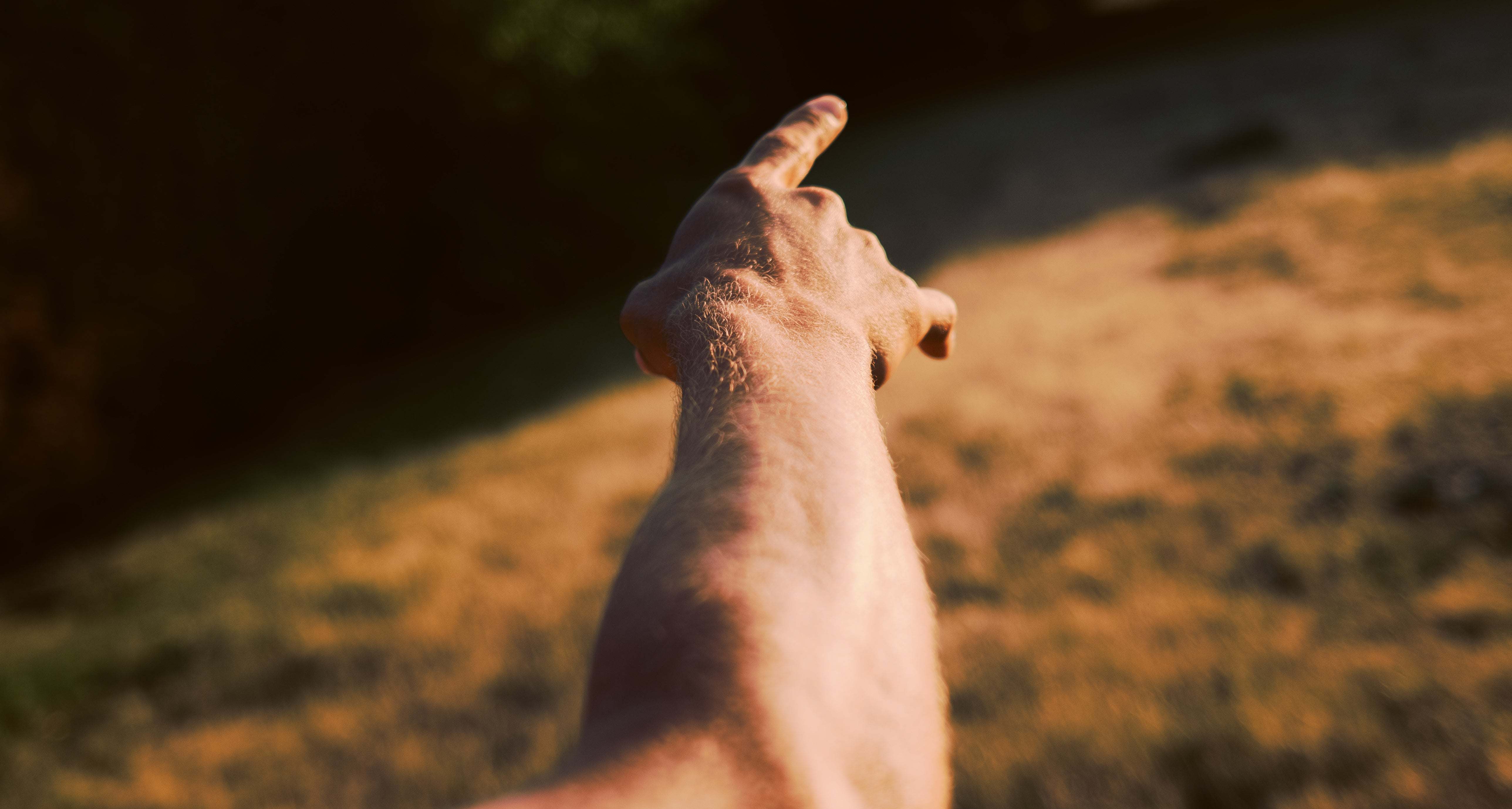 Un brazo extendido señalando, sobre un prado al sol