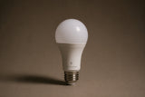 PROTECT Red + Infrared Zero Blue Bulb